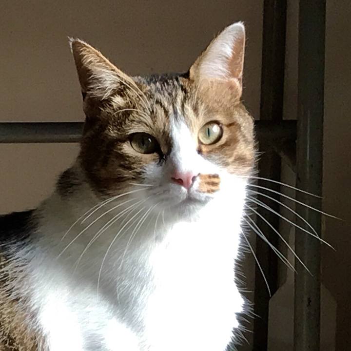 3303c94f ac12 458c 8855 e626d9362754