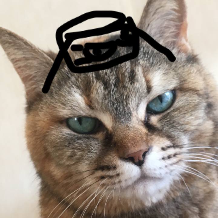 3303f8ef f3db 4f32 bb88 f7bababbd9c2