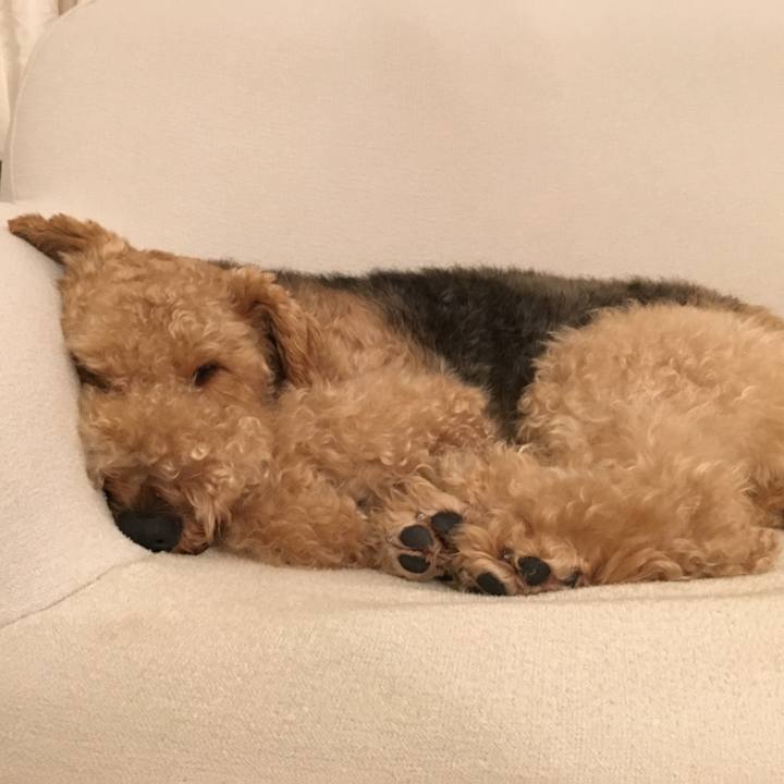 33040c0b 12a9 4843 a3c1 212934031d9a