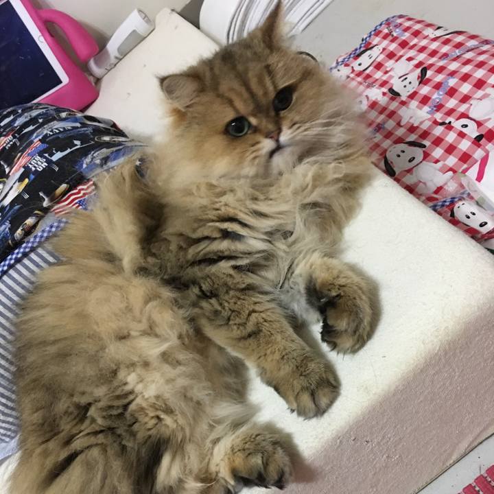 33042c08 5e67 42ae aeda 036389593ed1