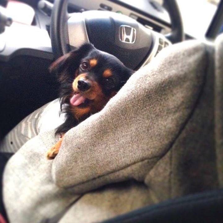 33044fa3 7bb9 4d34 8c1d d42b5806aafa