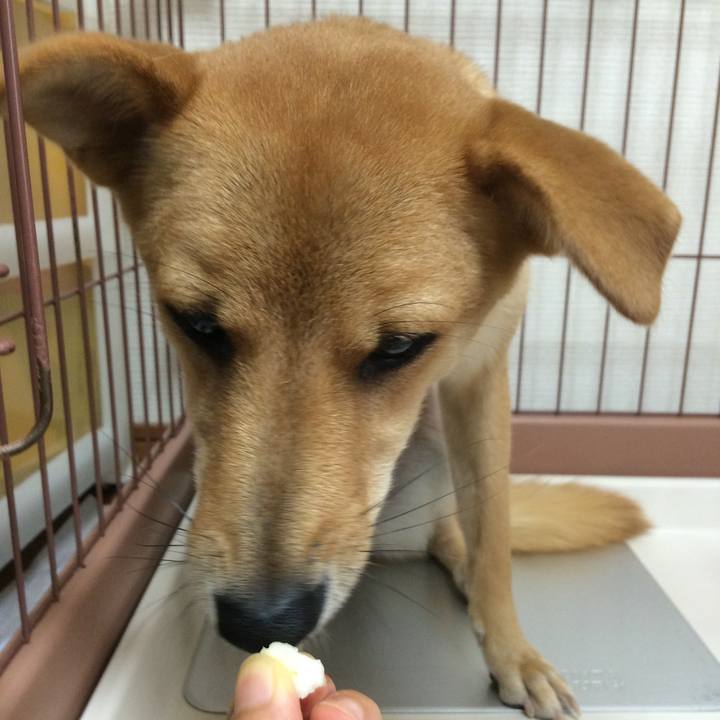 3304575f 8e60 41a3 92c4 8d39cb118e0f