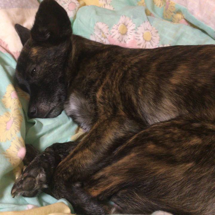 33046f71 8595 4622 92d4 2ea30aedfeda