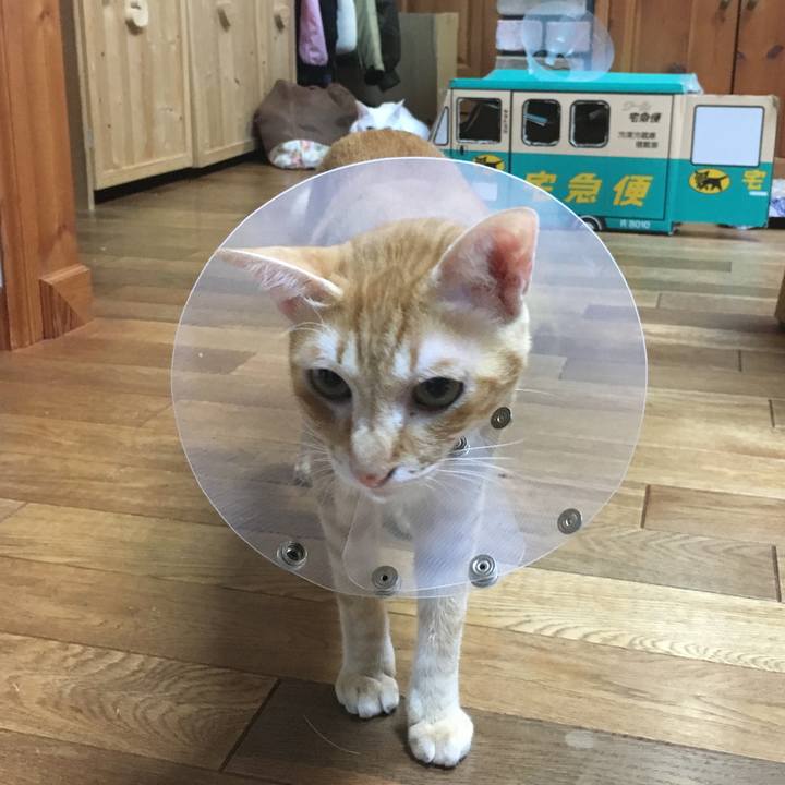 33047b6c 2cd0 4bd2 9b91 339adb24ad70