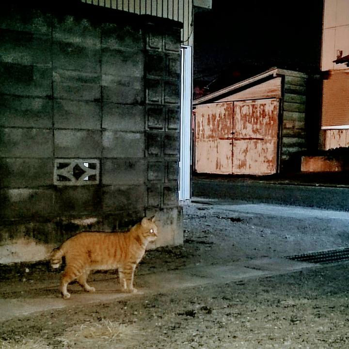 330552c3 ec59 43f9 b966 d034f9359506