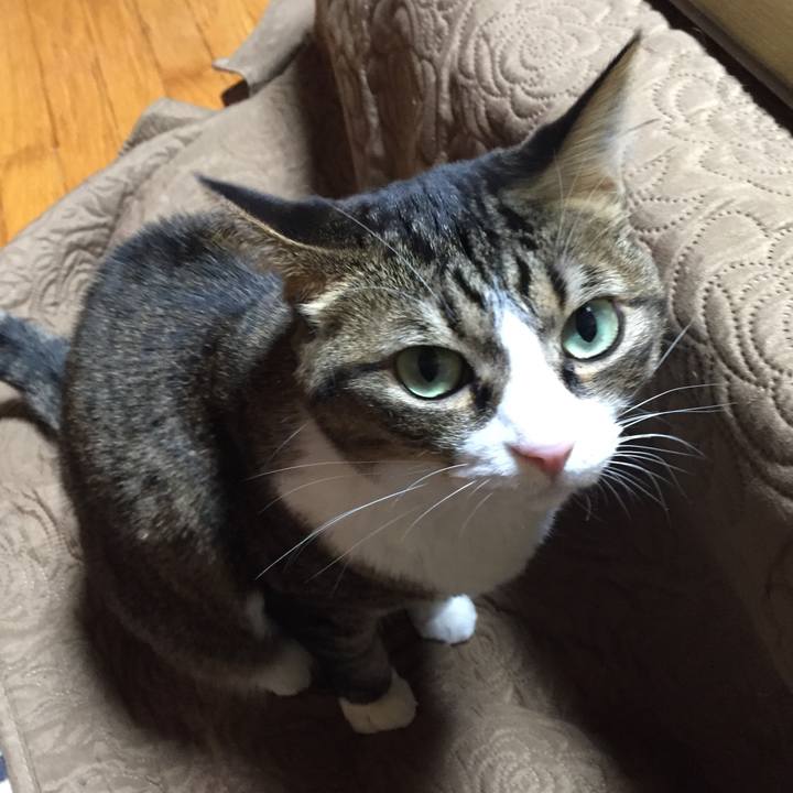 330590c5 d6f6 484d 9566 60c217e1bb83