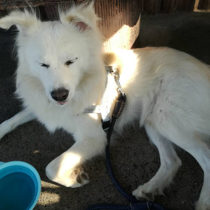 33060b4d 7d88 459e 88fa d5d1cf923cd5