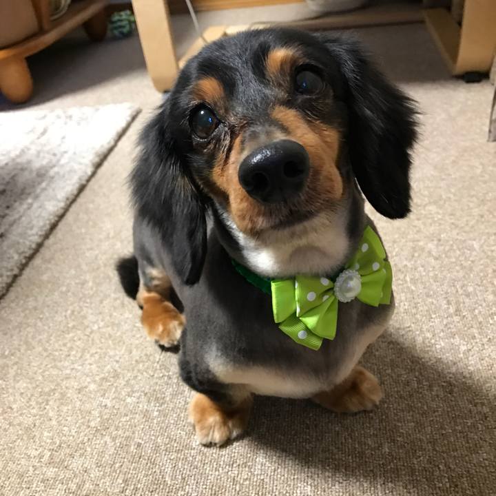 33061c20 c338 4cc0 b8e0 7cacce07fd67