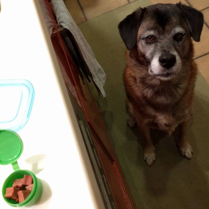 33063412 d5aa 40aa a900 a6369c124fe3