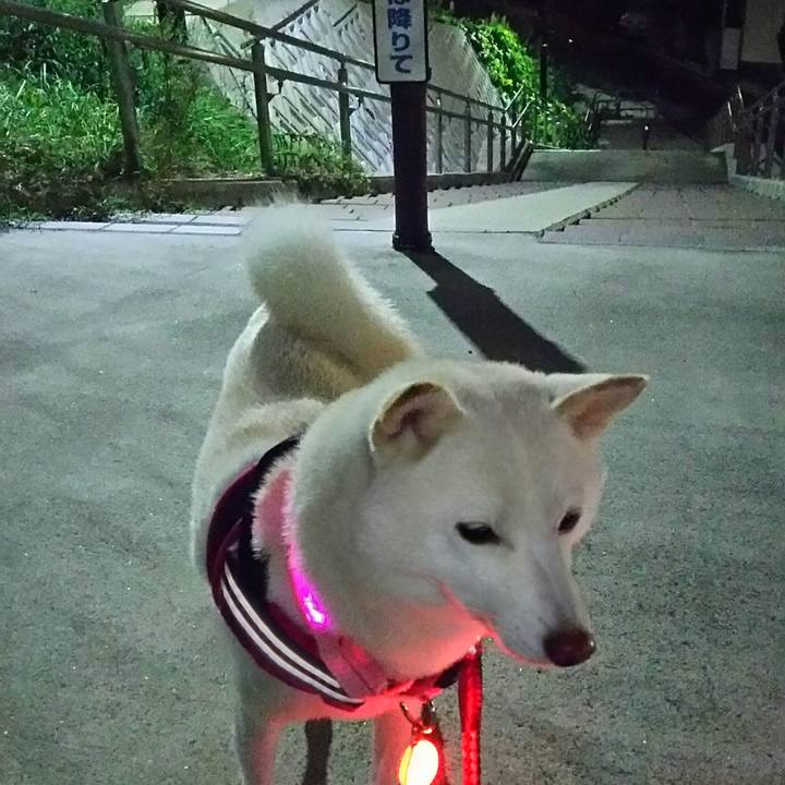 3306a8ce 2131 4a7f b318 917c784dcef2