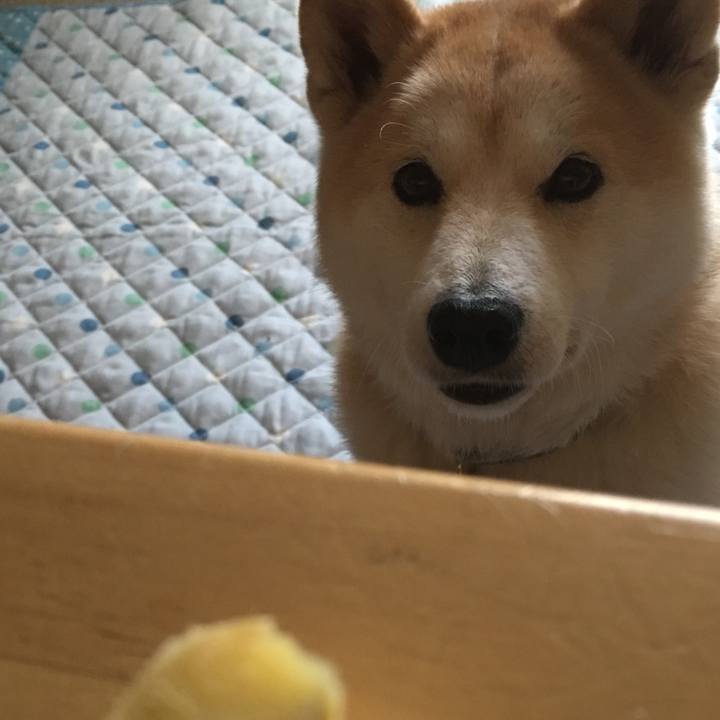 330747d1 29d3 40d4 a0c5 33228d290a14