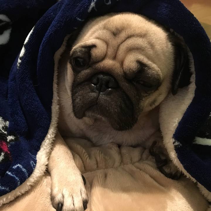 33086f04 8817 46b7 81f9 579bc9058005