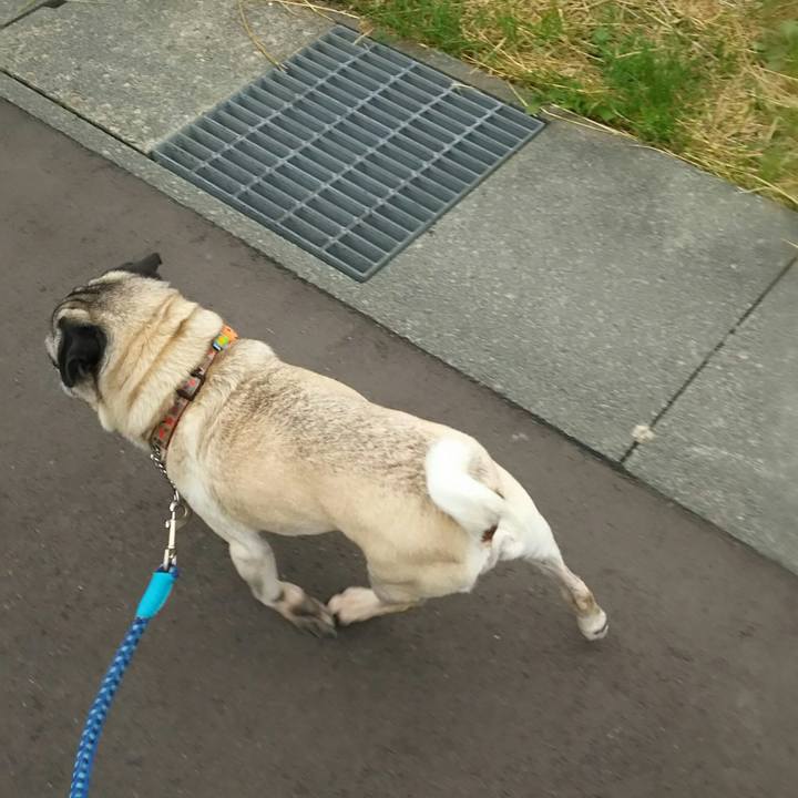 3308700c 8589 4955 a2fe aa3c55371a64