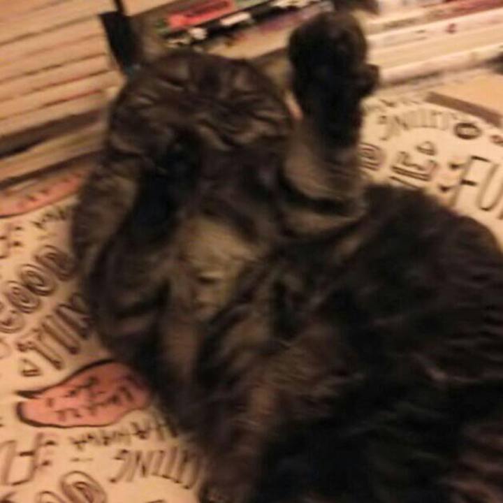 3308f775 d104 4e1a af0a 90b027bdcc9d