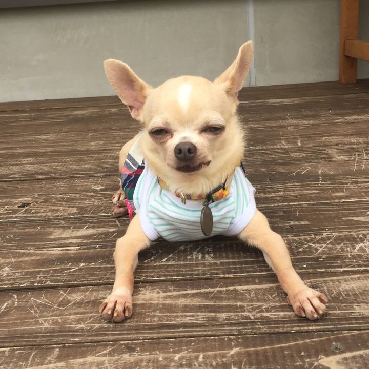 33095b29 a5f6 4ff0 8203 f8a6efc0e84d