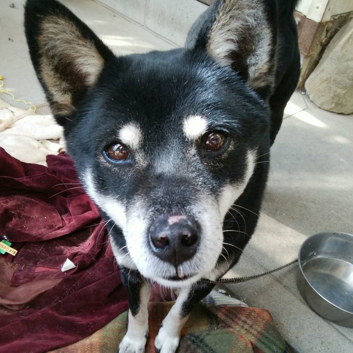 3309c922 7d26 4f23 a51a a7b5a04d3516