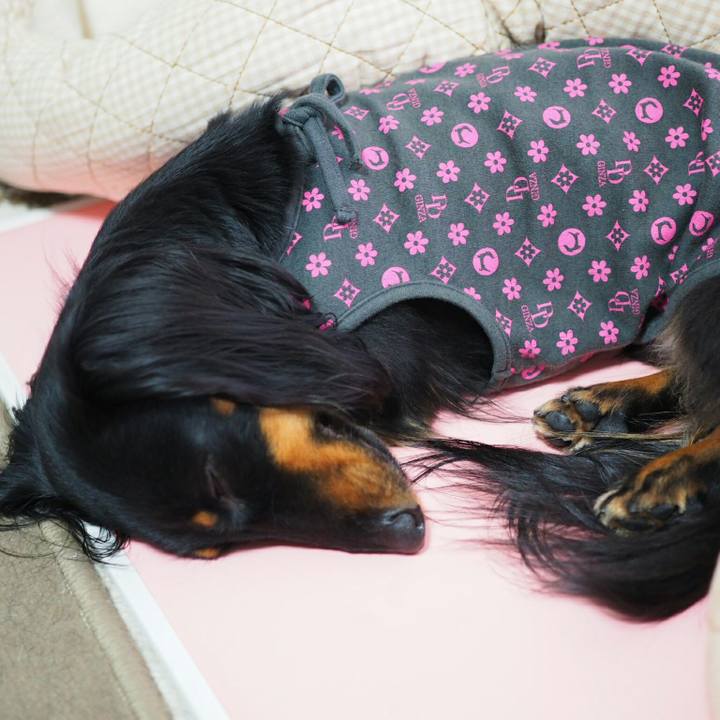 330a0b91 2b31 491a ba2d fdf10fdbcff4