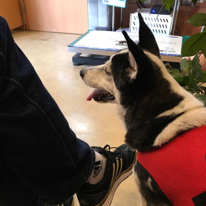 330a24bc 9e27 4edb 91d6 3cc235fbe9ef