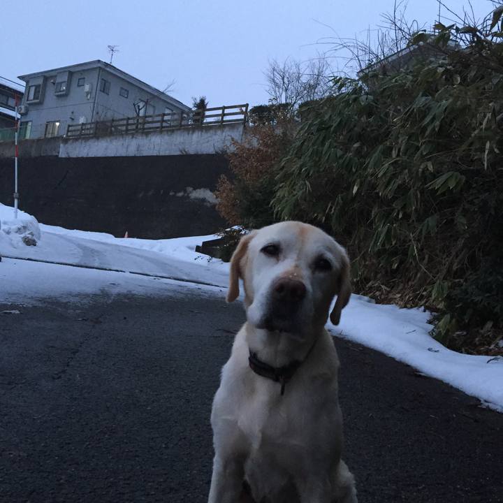 330a87b6 ce51 4f6d aeef fc4918050072