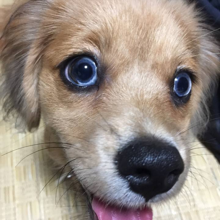 330b5f9f 0838 44d9 9c3b e23327a50e98