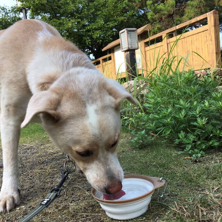 330c510d ee98 4c36 8ddc 3cb65fcac124