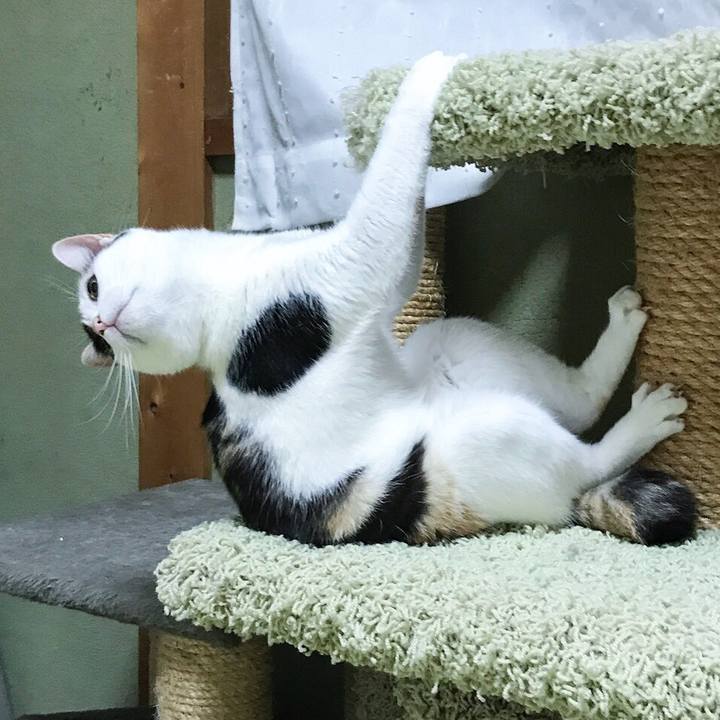 330cec01 a79b 421d bcf8 82aa9b14e58c