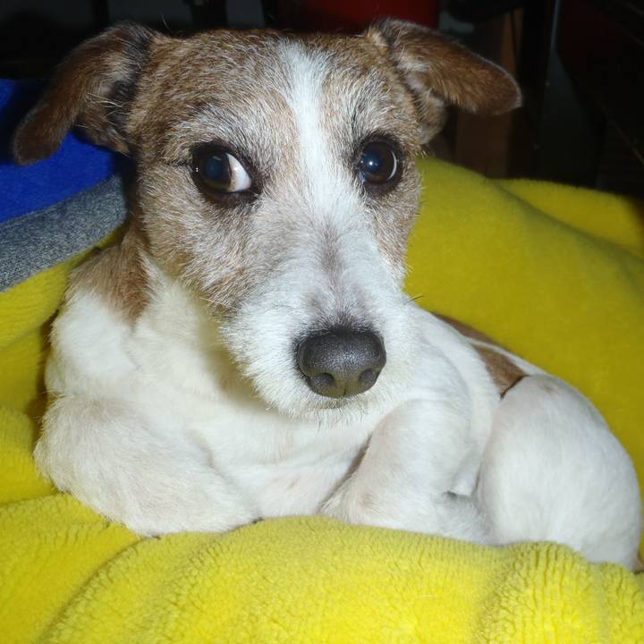 330d0049 3730 4284 8be7 f16b7551f033