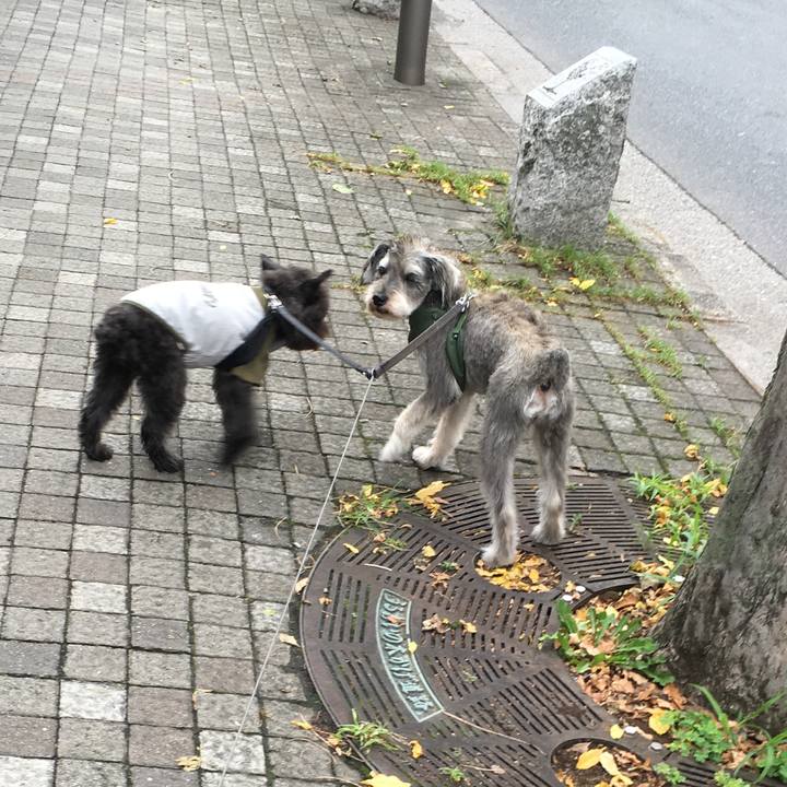 330db12f cf24 495e b834 fd460bfee6f2