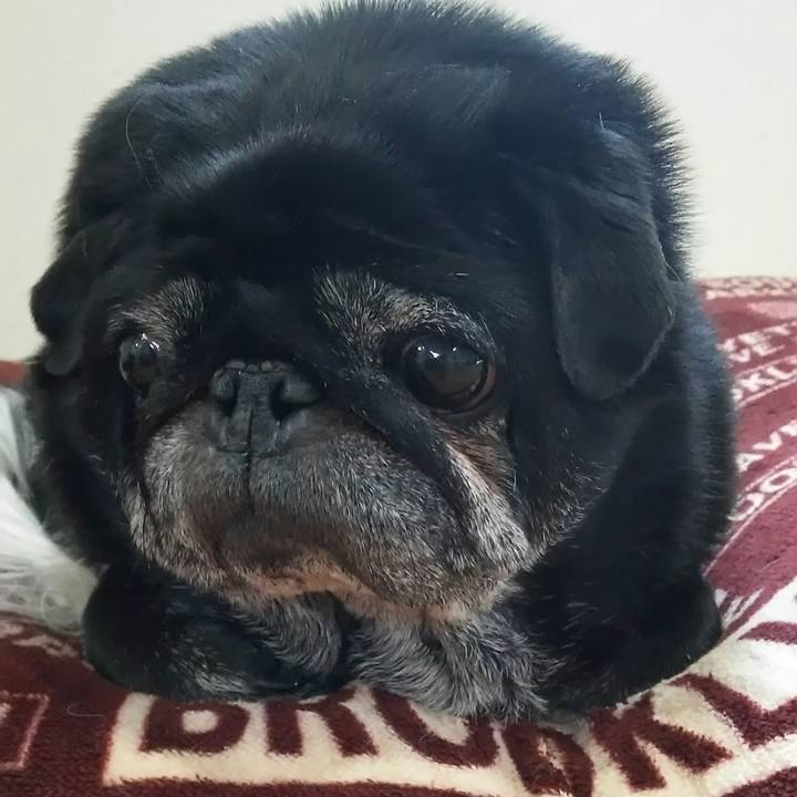 330de31d bfb4 4e5b 89bd 18e26bde628a