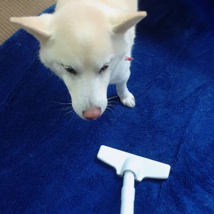 330de49f d8fe 4719 8c60 7cf07ebfa84f