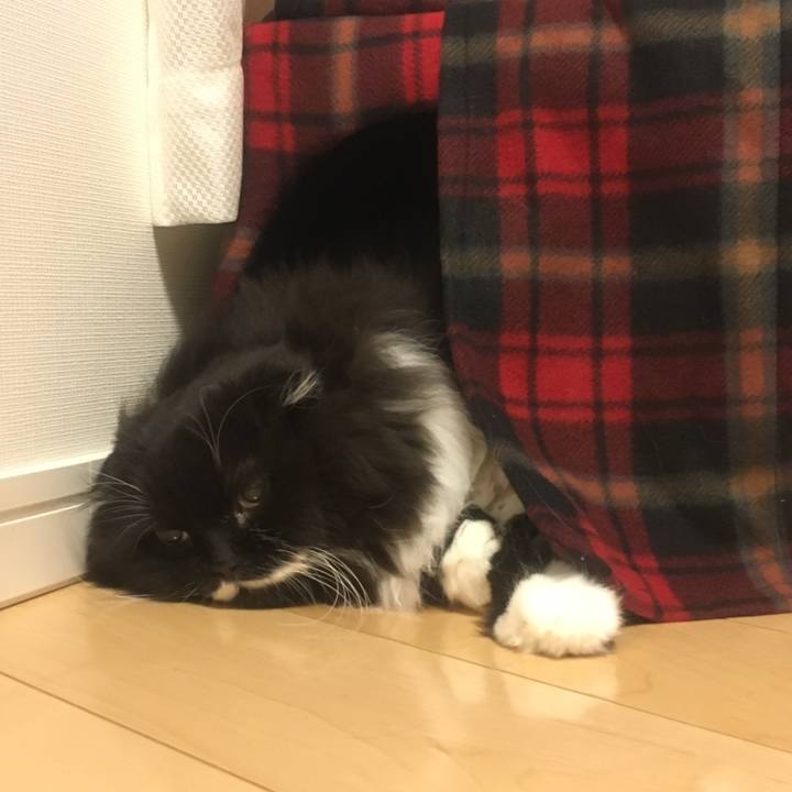 330e2d2a 6d08 40bd 852e 385c98b7457e