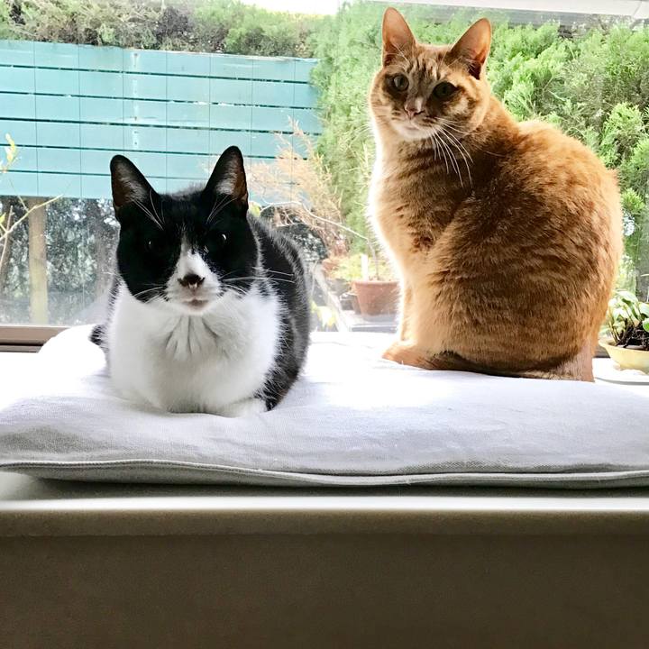 330e34e2 f75f 410f 9f93 185bbd15c83e