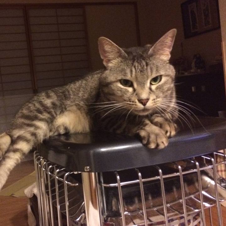 330e6a60 71ba 49c5 888b 76d1da0e592e