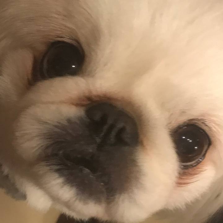 330e85ec ce1c 40af 8285 9e413efae6ad