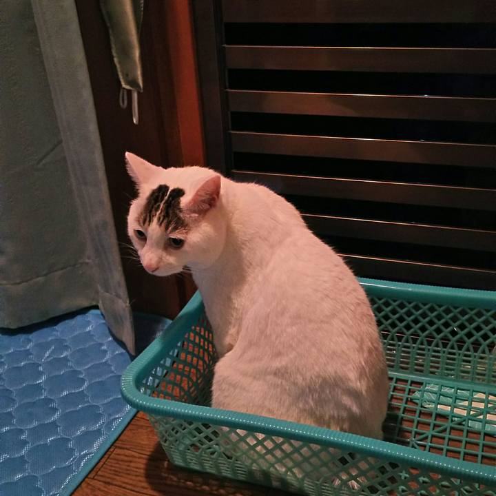 330eef6c 939d 4a20 91be 446b91c90391