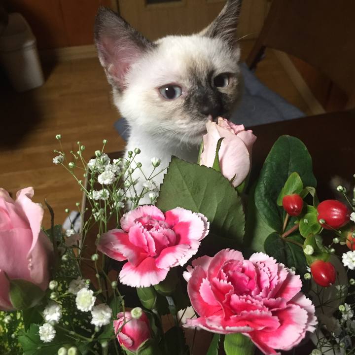 330f4ac8 fb0b 497c 8336 1c215b0670c3