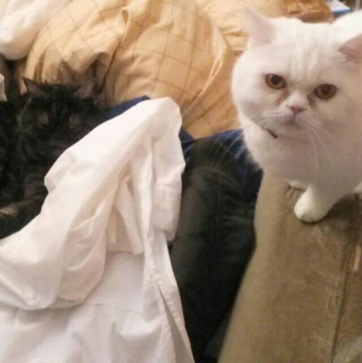 33105fd0 0e14 44ec b821 0583bd6b6b01