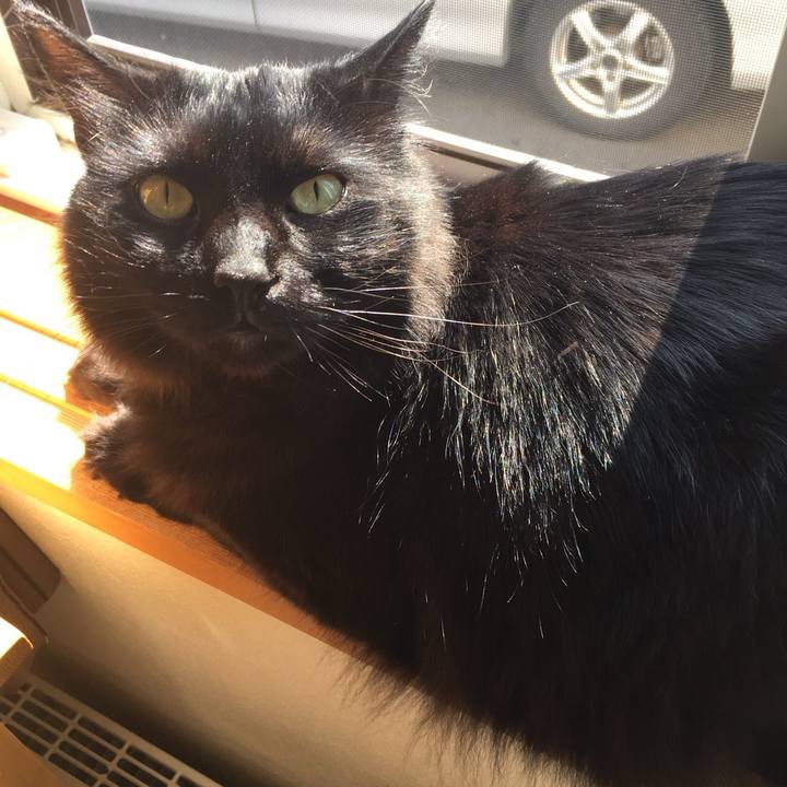 3310802a 0850 411e a86a e1cb10ea3eac