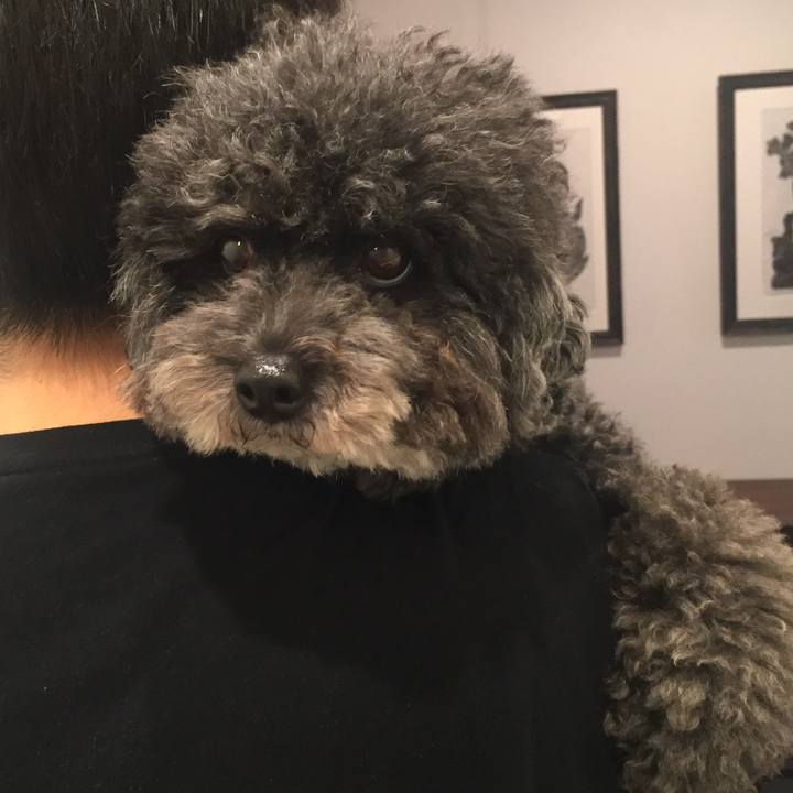 3310e993 c603 4b4b 8be7 38e0f66f41d9