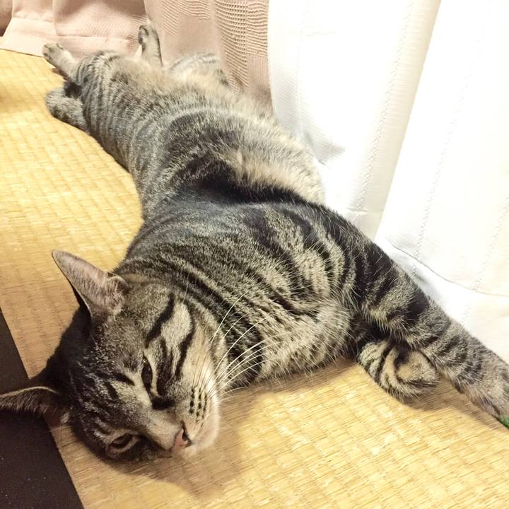 3310ecad a4f9 471d 9c1b 95838d800647