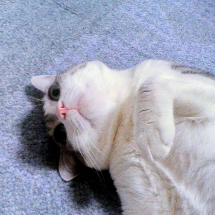 33110340 3e38 4bca ab86 d5bf44f493b1