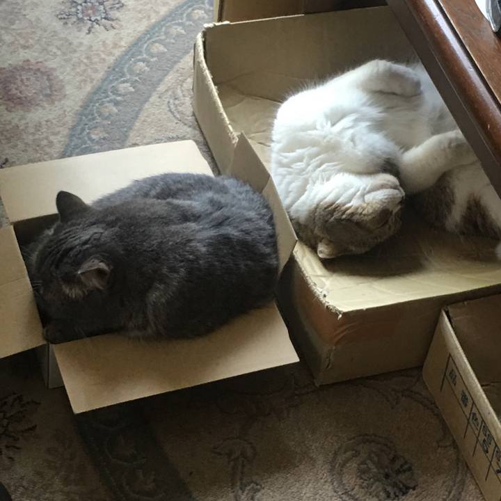 33114d0c dd9a 451b a7fa f1ffb36bd87e