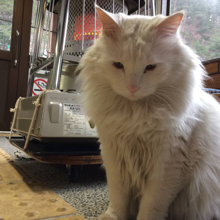 33115046 0c1d 48f1 a56b 9f2966593575