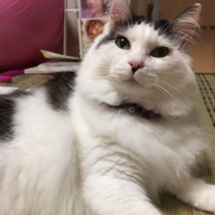 33116d7b 98bd 4432 94bc 05dfcf8da784