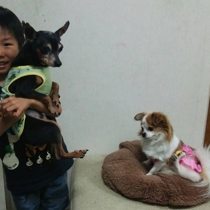 3311ad82 f370 42e6 8652 13b88bc62000