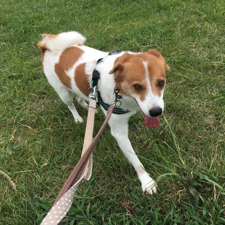 3313ce7b 2e17 436e 91ac 49fb107e98be