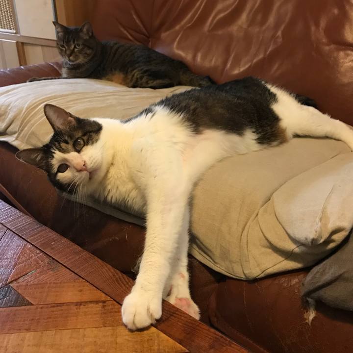 3313ea7d 38b2 40e6 83cc 0d5dea5688ff