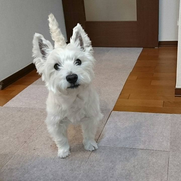 331433cc 4f53 4e1e 962e f8b6c74c884b