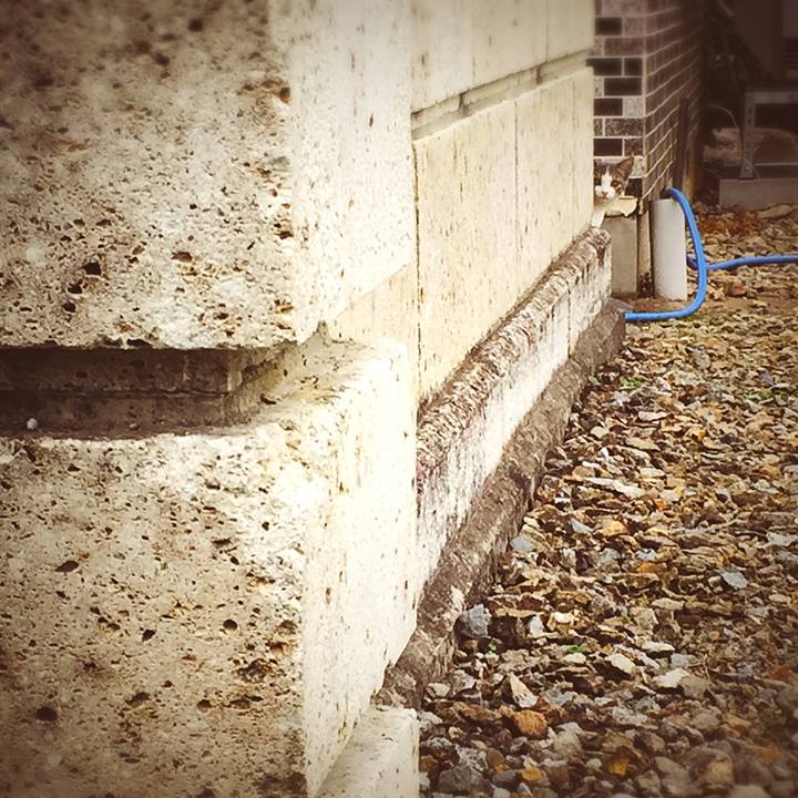 331440cc ef68 4421 9ea1 c553b7b68f66