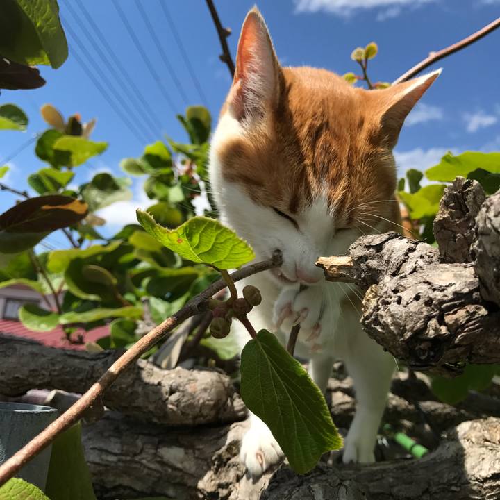 33145076 13fd 4a6f 9bf8 f37603741c20